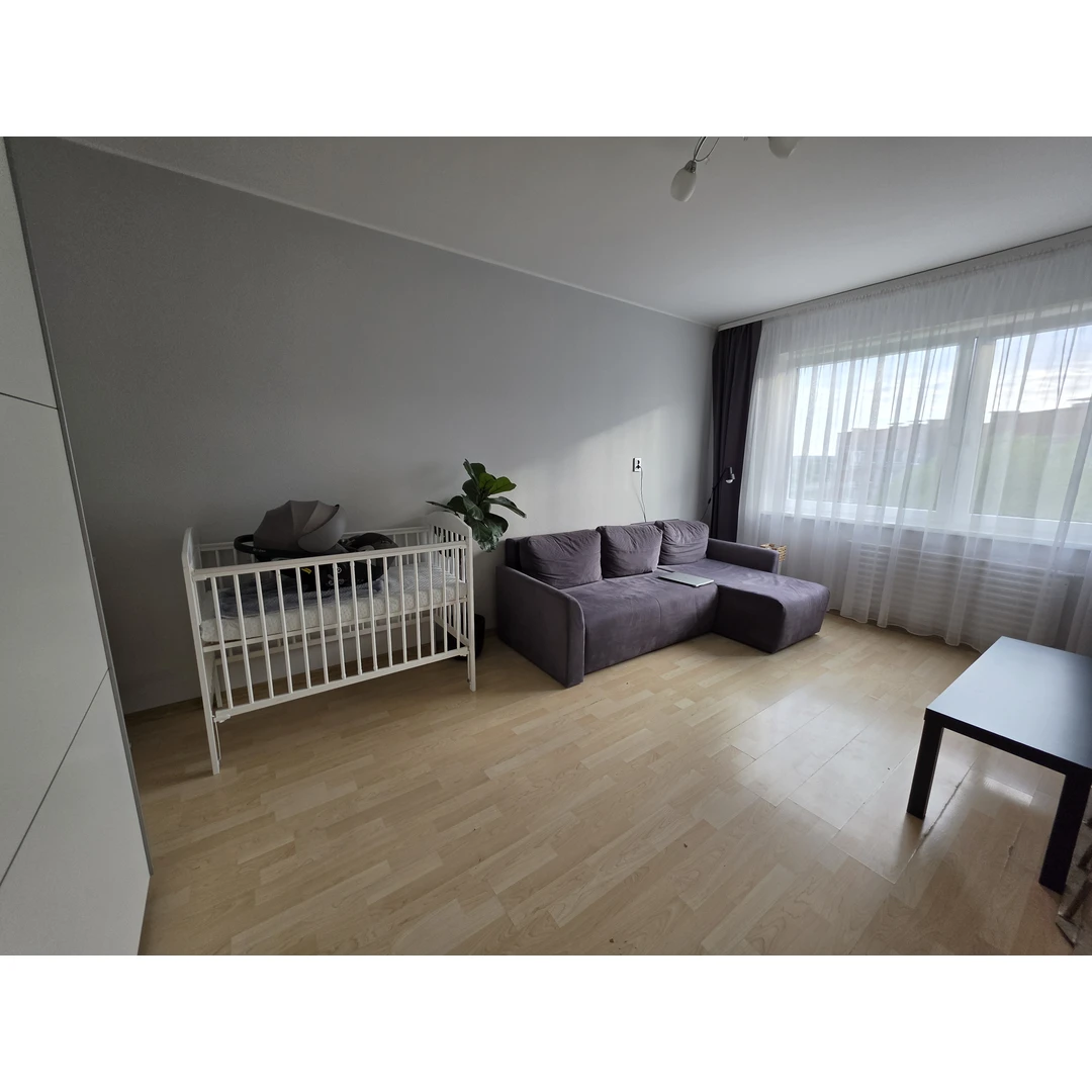 Pilka veliūrinė sofa-lova su didele patalynės dėže