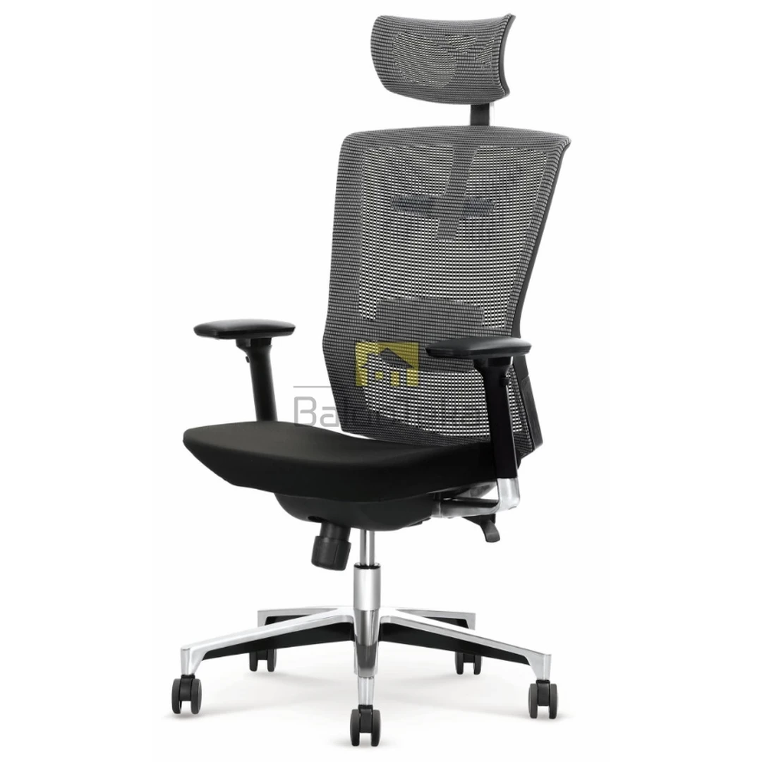 Ergonominė kėdė su reguliuojamu galvūgaliu ir porankiais