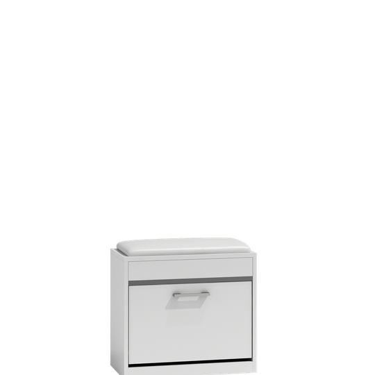 Elegantiška batų spintelė su sėdimąja dalimi ir daiktadėže