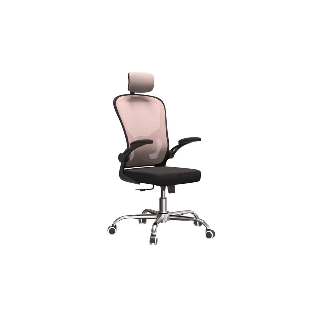 Ergonomiška biuro kėdė su pneumatiniu aukščio reguliavimu