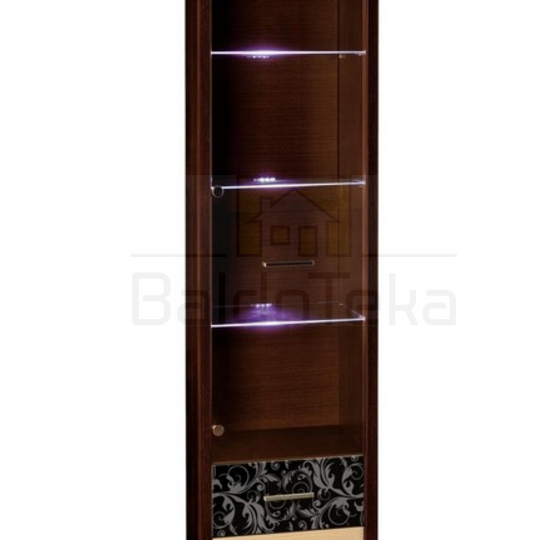 Elegantiškas spintos modulis su ornamentuotu stiklu