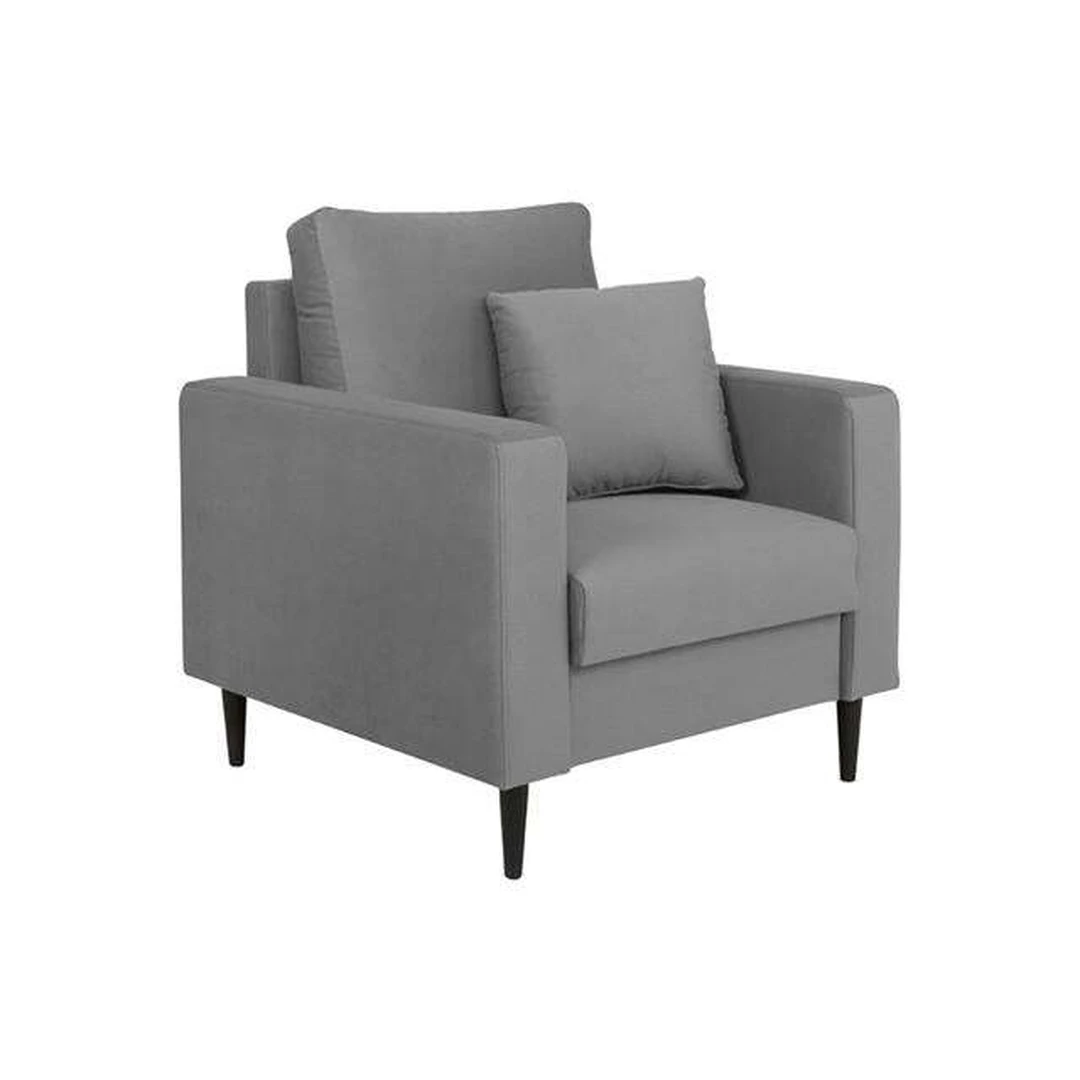 Elegantiškos minkštos sofos – puikus akcentas jūsų svajonių interjerui