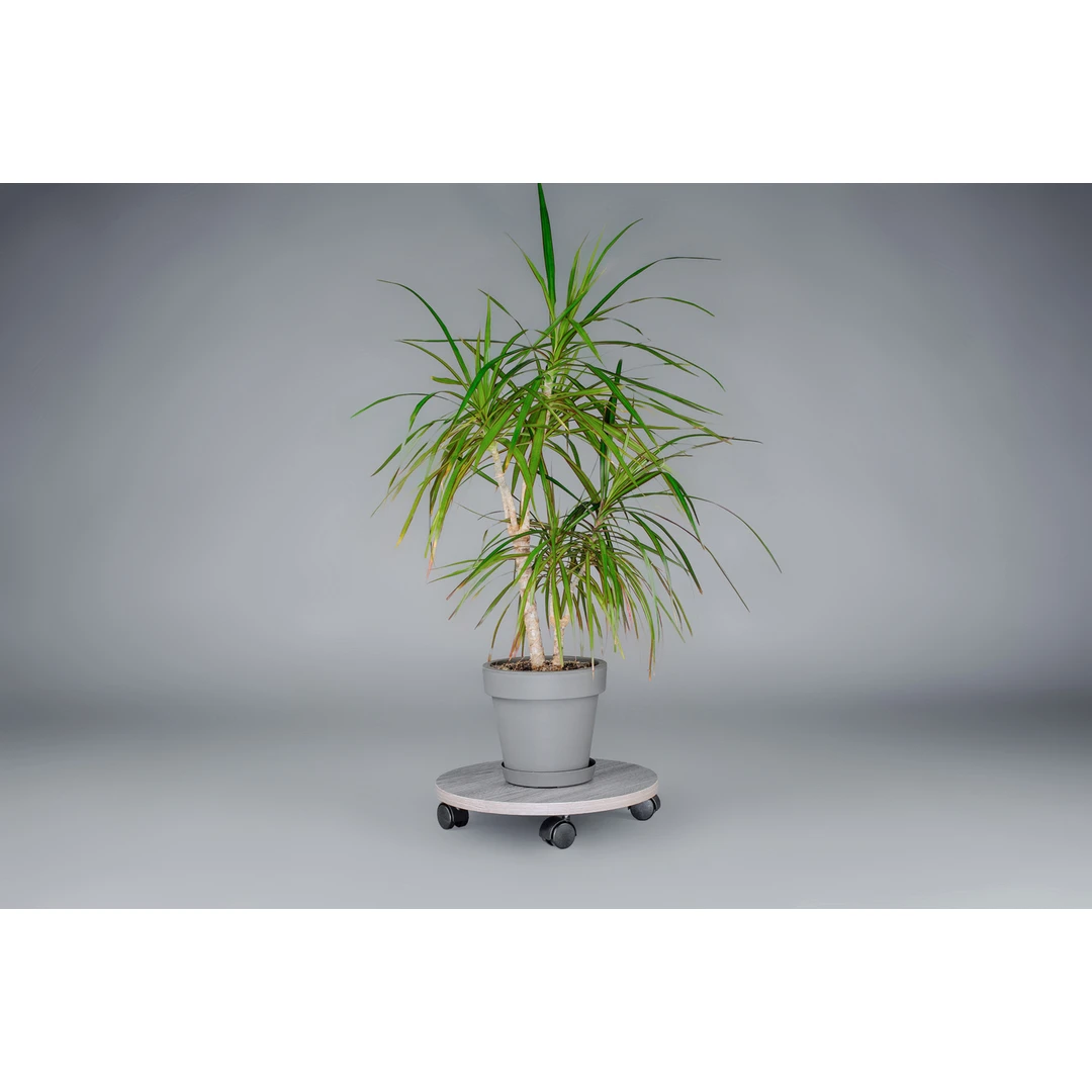 Elegantiški stoveliai iš laminuotos plokštės – PVC apvadas