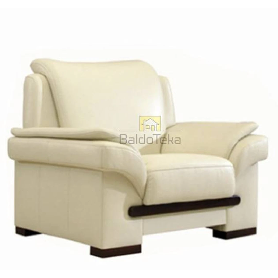 Natūralios odos ir ąžuolo masyvo prabangūs sofos