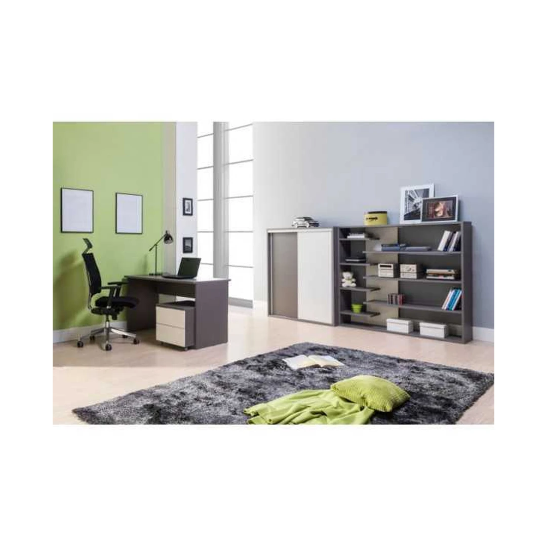 Moderni knygų spinta Z02 pelenų arba balta blizgi