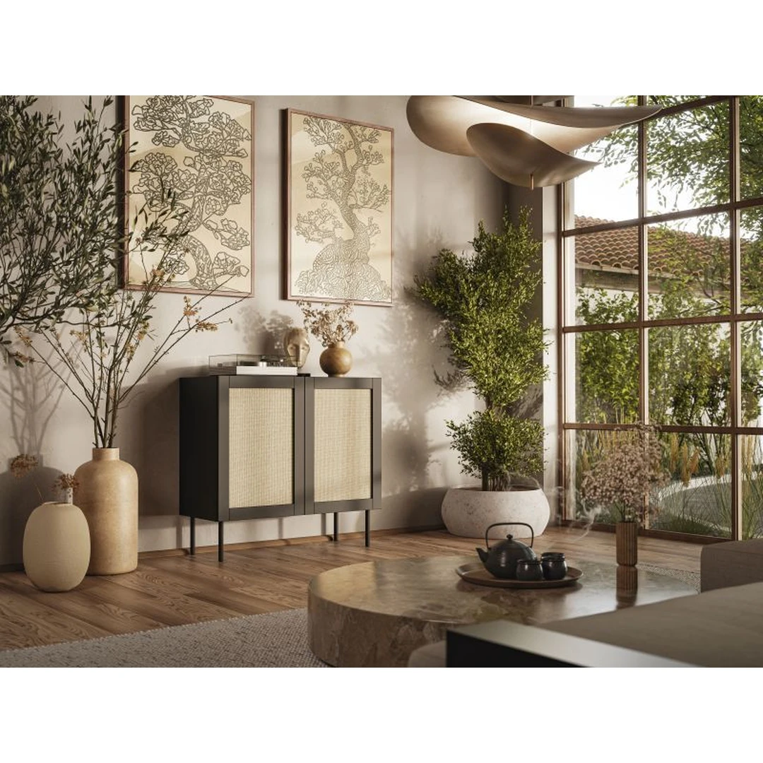 Šiuolaikiška spinta su matiniu MDF korpusu ir PP folija