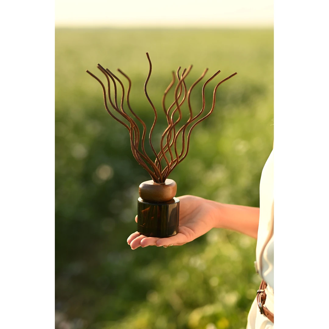 Namų kvapas su lazdelėmis AMBERWOOD ¦ 100ml - Kita