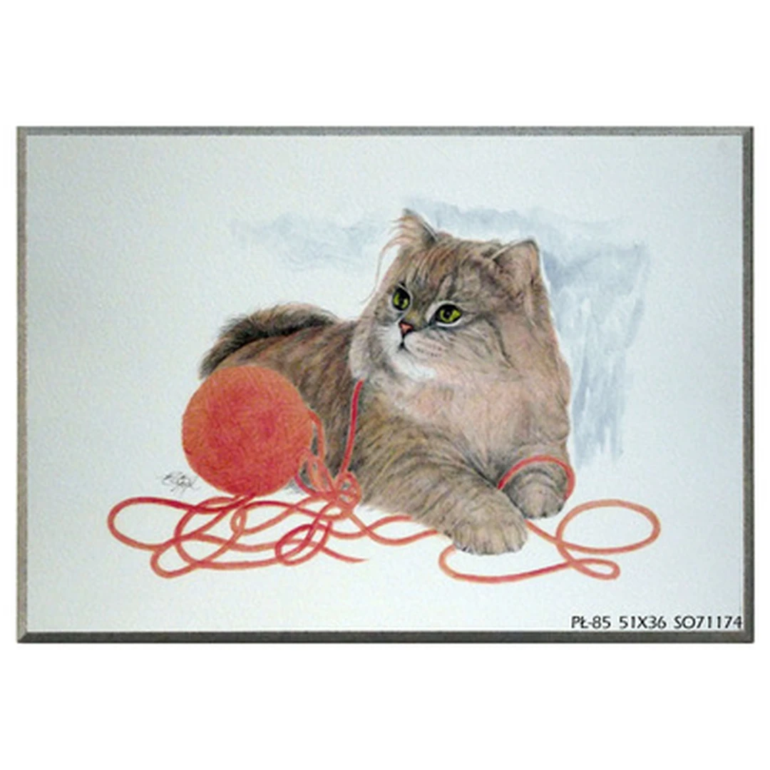 51×36 cm stalo veidrodis su raudonu rėmeliu