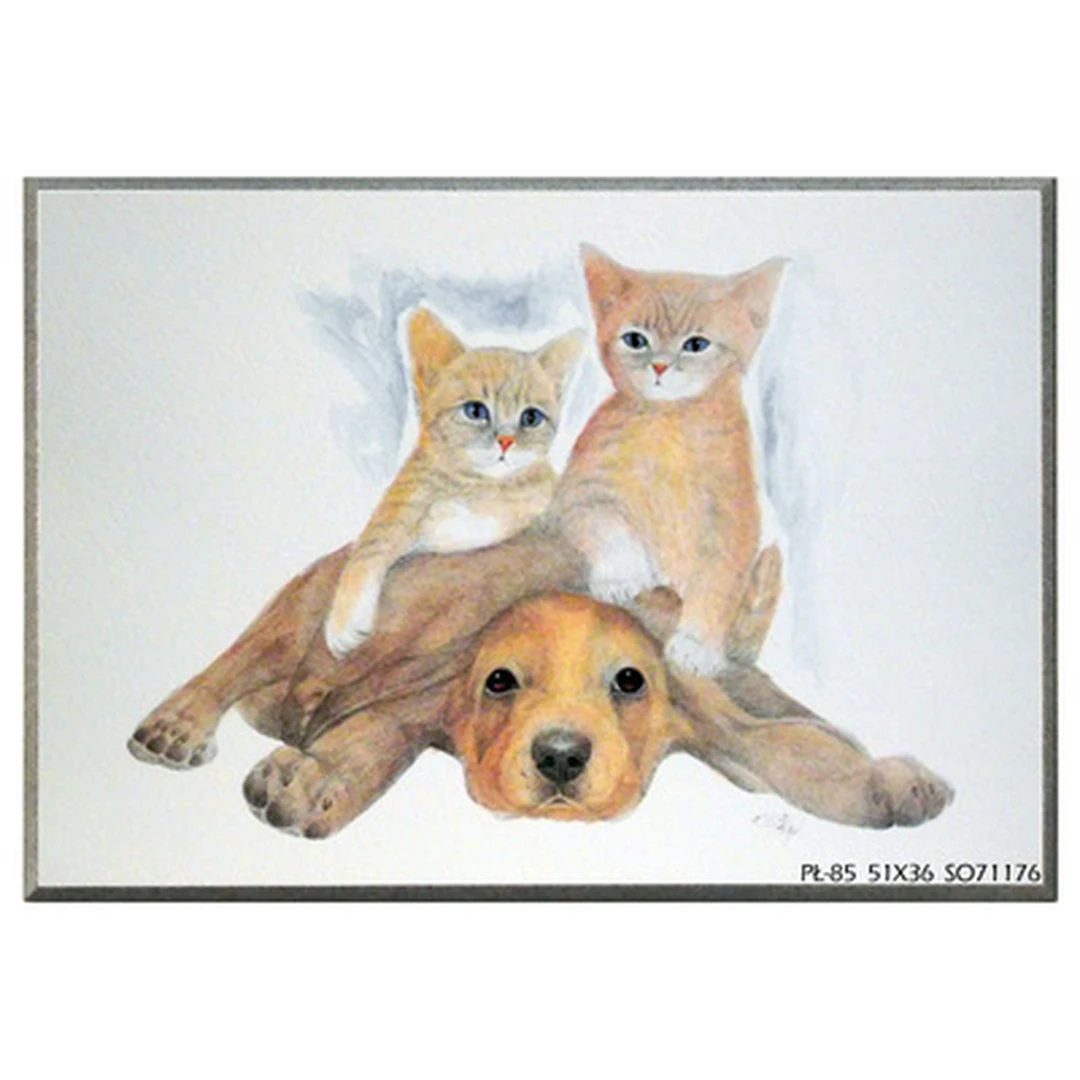 51×36 cm stiklinis veidrodis su kakaviniu rėmeliu