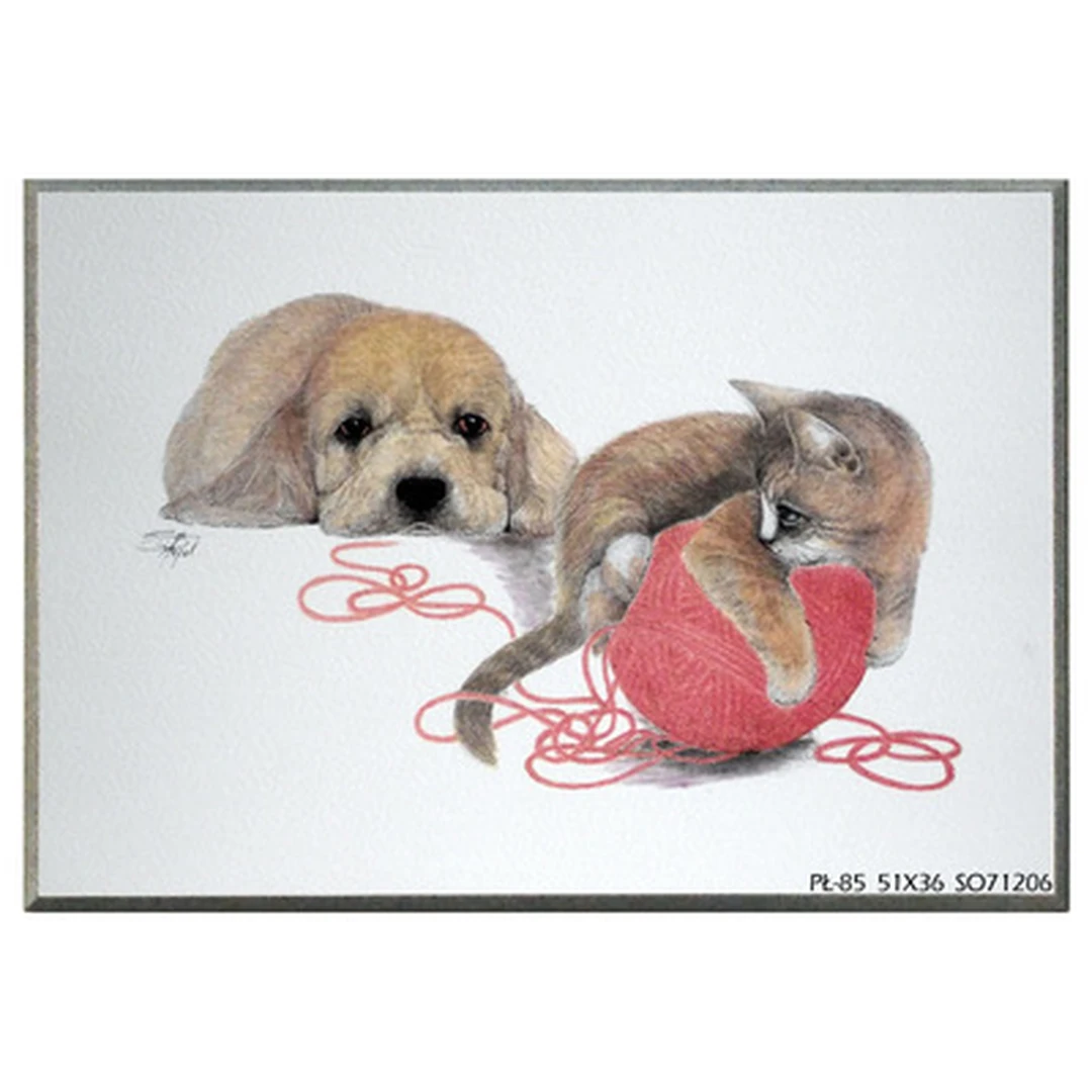 51×36 cm su raudonu rėmeliu – stilingas akcentas jūsų namams