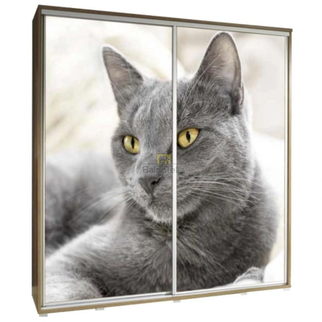 Ergonominė spinta su SEVROLL aliuminio bėgeliais