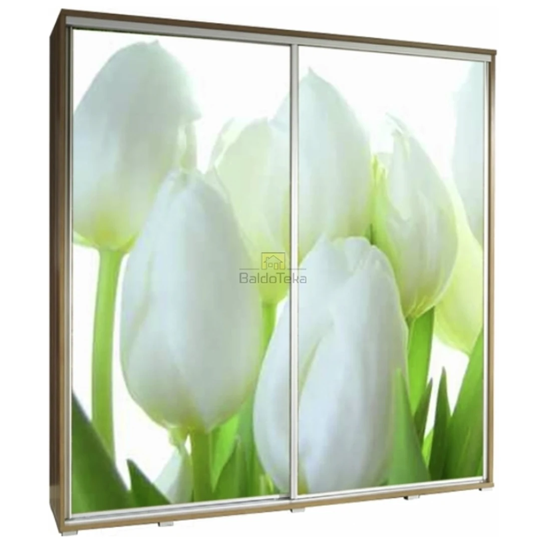 Ergonomiškas spintos komplektas su SEVROLL bėgelių sistema