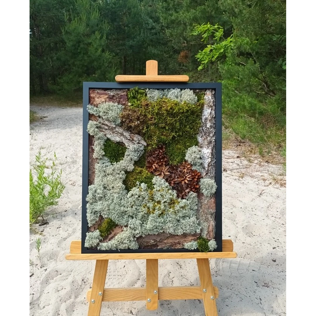 Šiuolaikiškas samanų paveikslas 50x40 cm – natūralus grožis