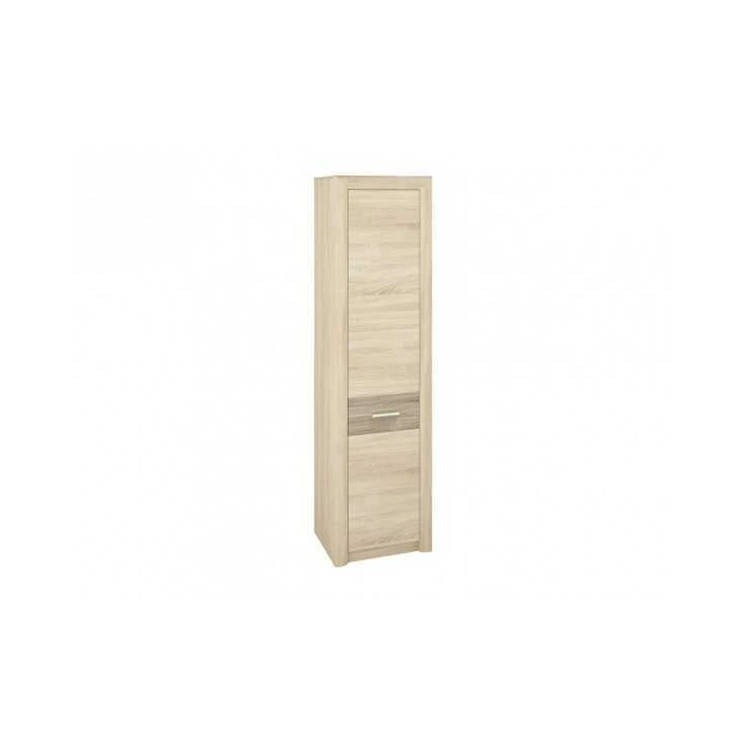 Šiuolaikiškas spintos modelis su pasukamomis durimis