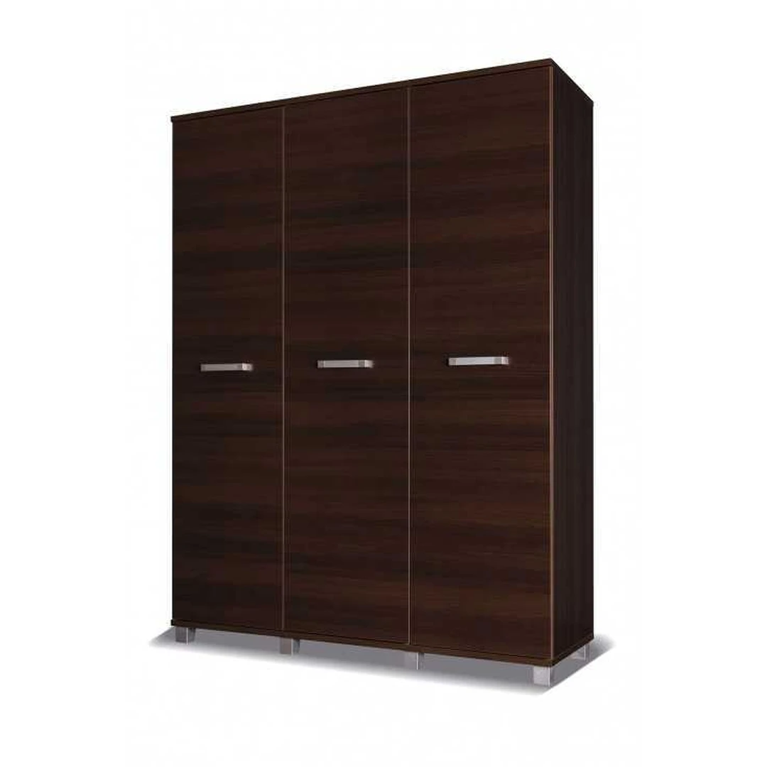 Erdvus spintos modelis 150x203x51 cm