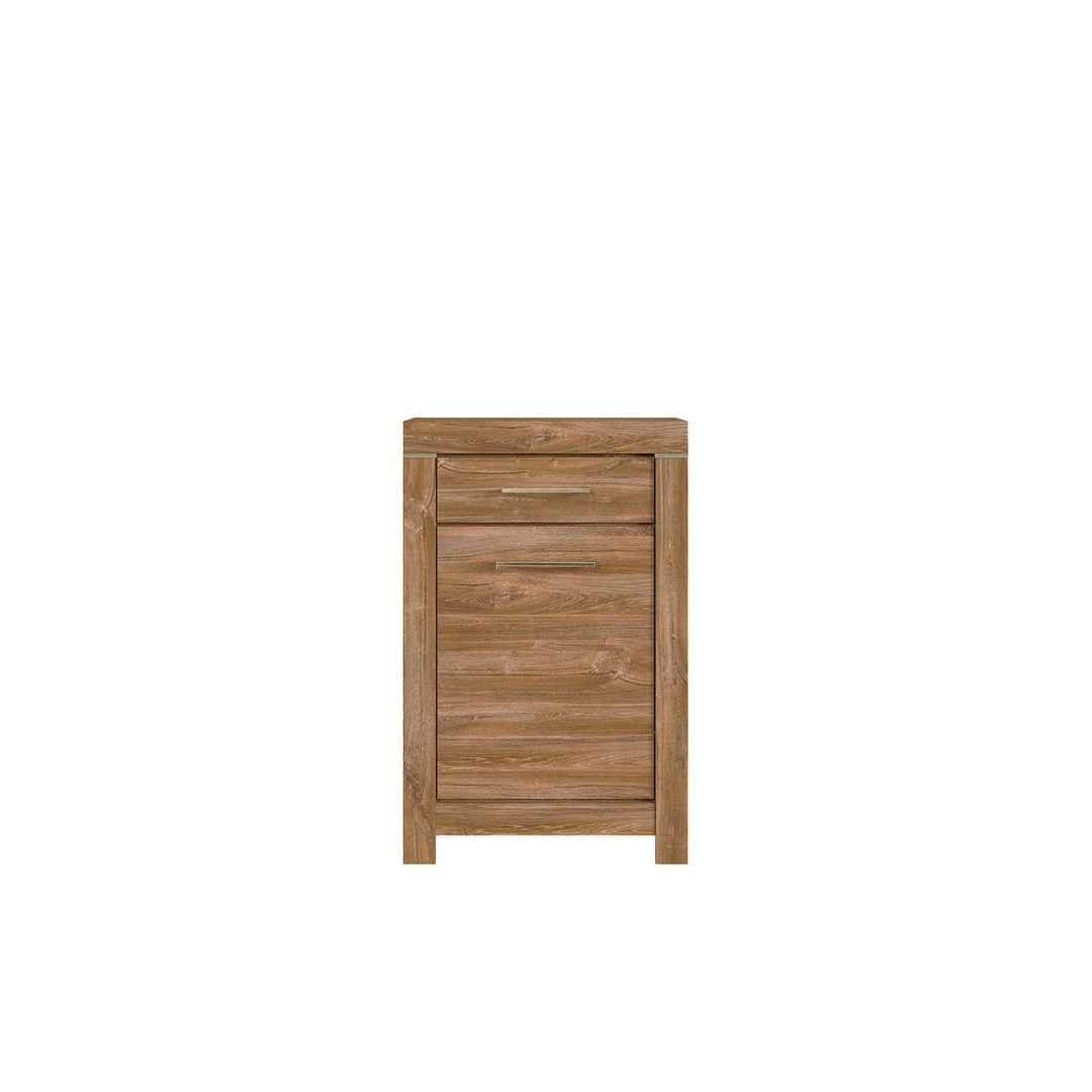 Moderni spintelė Stirlingo Ąžuolo spalvos