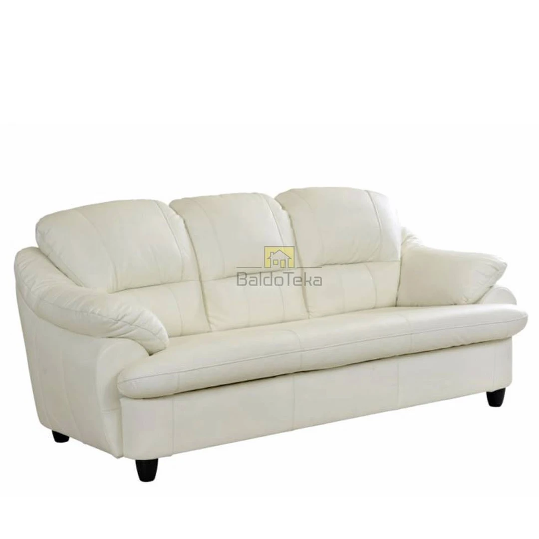 Natūralios odos minkšti ir prabangūs baldai