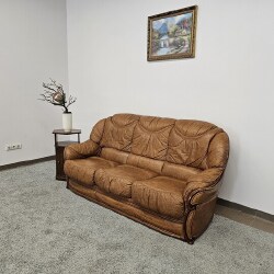 Natūralios odos sofa - Sofos