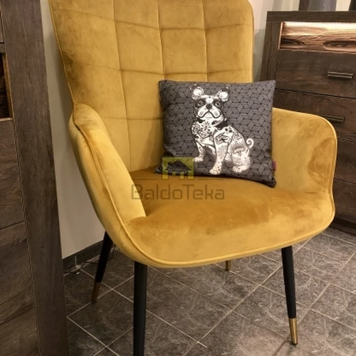 Minkštas velvetinis fotelis su aukso detalėmis