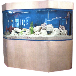 Akvariumas akrilinis aptakus be mėlyno fono