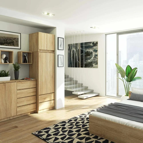 Lengvai surinkiama spinta su pristatymo vadovu