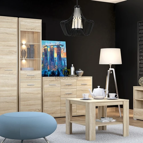 Šviesaus ąžuolo sonoma spalvos LMDP spinta