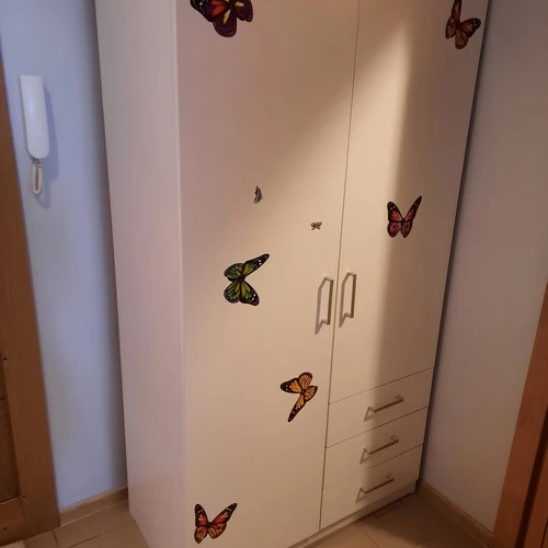 Plati dviejų durų spinta su lipdukais, Fabijoniškės