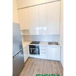 Balti virtuvės baldai nedidelei erdvei: projektavimas ir gamyba
