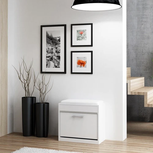 Patogi batų spintelė su paminkštinta sėdimąja dalimi ir aksesuarų skyriumi