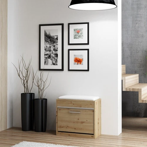 Tvarkinga batų spintelė su paminkštinta sėdimąja dalimi