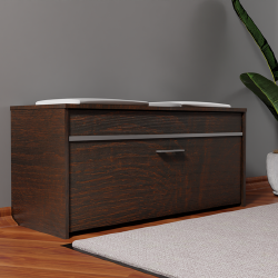 Stilinga batų spintelė su sėdimąja dalimi ir daiktadėže