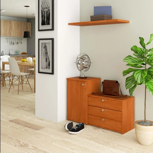 Funkcionalūs baldai prieškambariui