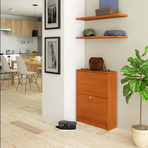 Lengvai valoma batų spinta – papildykite savo erdvę stilingai