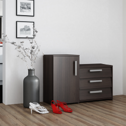 Moderni tamsiai ruda batų spintelė su 1 lentyna ir 2 skyriais