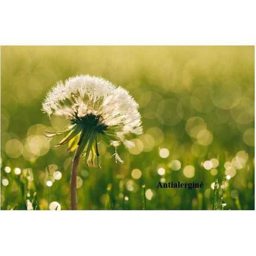 Ortopedinis čiužinys su antibakterinėmis savybėmis