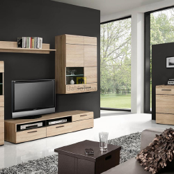 Šviesus ąžuolas sonoma ir venge derinys – Combino spinta