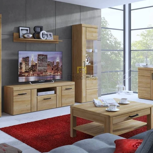 Patikima ir stilinga spinta su metalinėmis rankenėlėmis