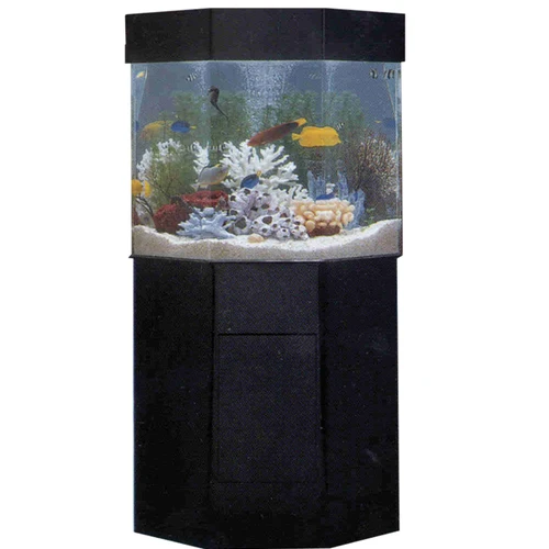 Apvalus akvariumas unikalaus kupolo JAV, naujas