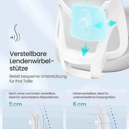 Ergonomiška biuro kėdė SONGMICS OBN066BH01 - Darbo kėdės