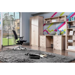 Stilinga spinta 160 cm pločio, 75 cm aukščio, 60 cm gylio, LMDP, spalva pagal užsakymą