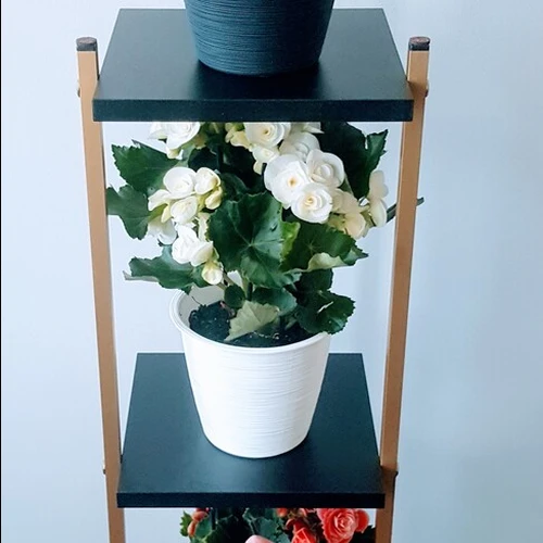 Laminuotos lentynėlės juoda ir tamsaus ąžuolo spalvomis