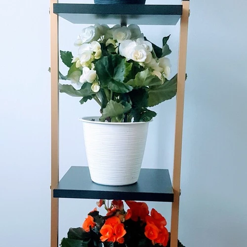 Akcijos kainos įvairaus aukščio lentynėlėms