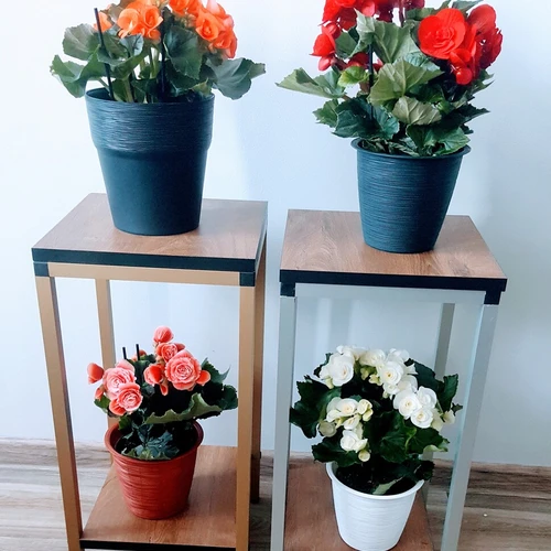 Laminuota drožlių plokštė tamsaus ąžuolo