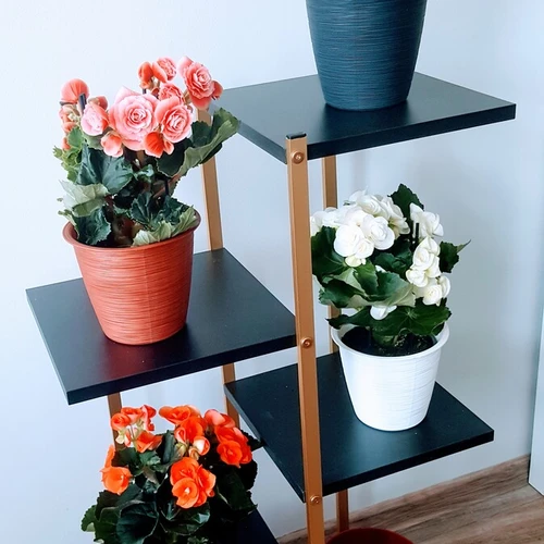 Staliukai 1000x245x245 mm akcijoje už 88 €