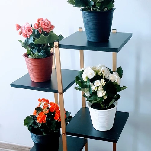 Staliukai 1000x295x295 mm akcijoje už 98 €