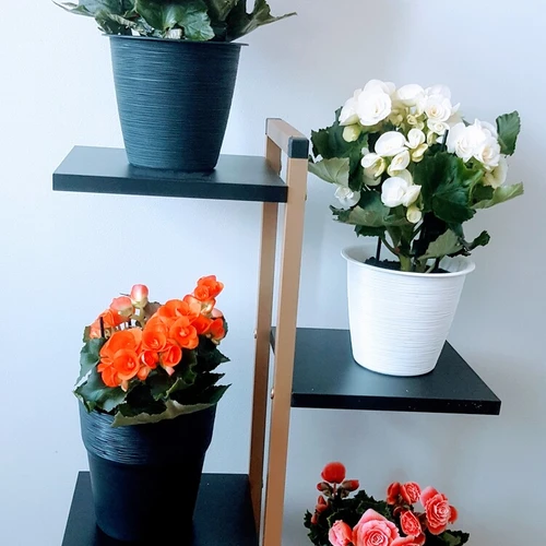 Akcija! Spintos nuo 69 € – puikus pasirinkimas jūsų namams