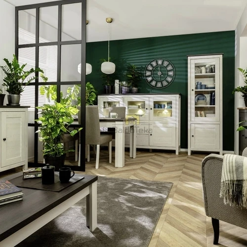 Elegantiška spintelė su tyliu uždarymo mechanizmu