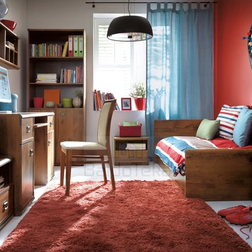 Klasikinio stiliaus stalas, 50x100 cm, ąžuolo sutter