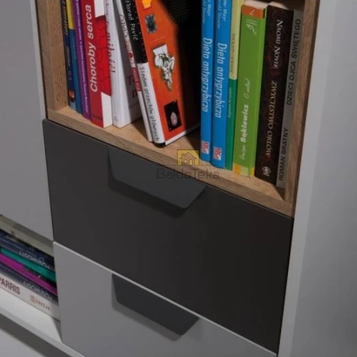 Elegantiška spinta su matiniu apdailu