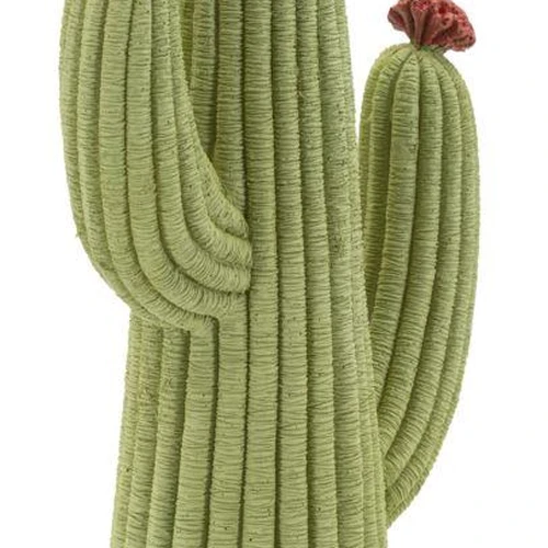 Kaktuso skulptūra Cactus Stons, 13 × 25 × 7 cm - Dekoracijos